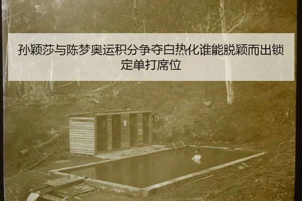 sun-ying-sha-yu-chen-meng-ao-yun-ji-fen-zheng-duo-bai-re-hua-shui-neng-tuo-ying-er-chu-suo-ding-dan-da-xi-wei-2-893.jpg